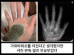 프로필 사진
