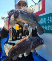프로필 사진