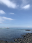 프로필 사진