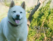 프로필 사진