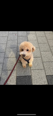 프로필 사진