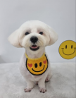 프로필 사진