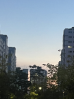 프로필 사진