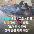 프로필 사진