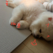 프로필 사진