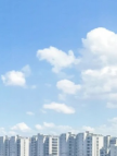 프로필 사진
