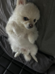 프로필 사진