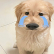 프로필 사진