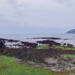 프로필 사진