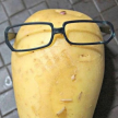 프로필 사진