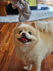https://thecheat.co.kr/fs_sbl/member/2023/09/06/9638643927e31e00ea59e6569e5a94dd.png