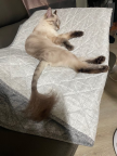 프로필 사진