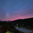 프로필 사진