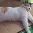 프로필 사진