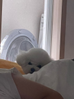 프로필 사진