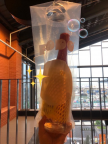 프로필 사진