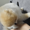 프로필 사진