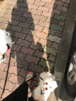 프로필 사진