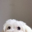 프로필 사진
