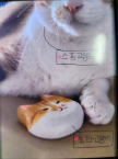 프로필 사진