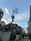 프로필 사진