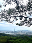 프로필 사진