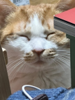 프로필 사진