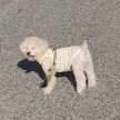 프로필 사진
