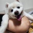 프로필 사진
