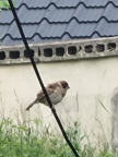 프로필 사진