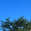 프로필 사진