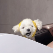 프로필 사진