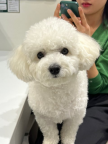 프로필 사진
