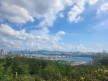 프로필 사진