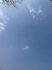 프로필 사진