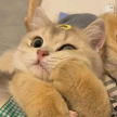 프로필 사진