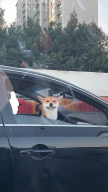 프로필 사진