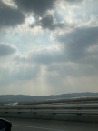 프로필 사진