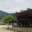 프로필 사진