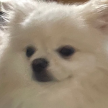 프로필 사진