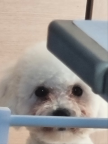 프로필 사진