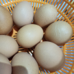 프로필 사진