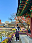 프로필 사진