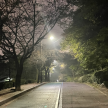 프로필 사진