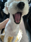 프로필 사진