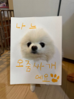프로필 사진