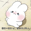 프로필 사진