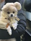 프로필 사진