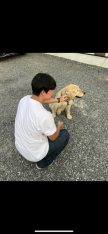 프로필 사진