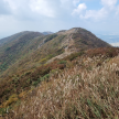 프로필 사진